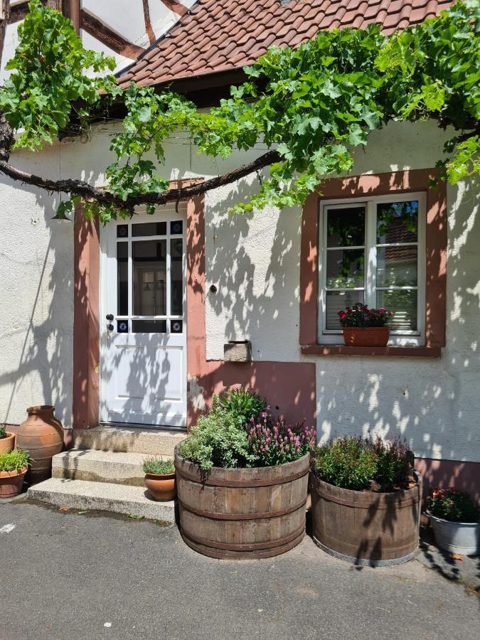 Schoene Ferienwohnung Mit Kamin Neustadt an der Weinstraße المظهر الخارجي الصورة